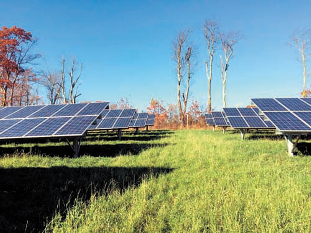 field pv panels